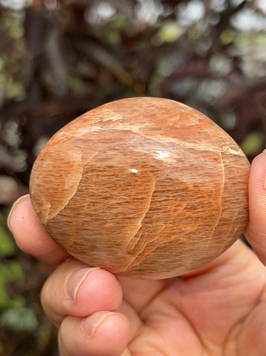 Peach Moonstone Palm Stone #3